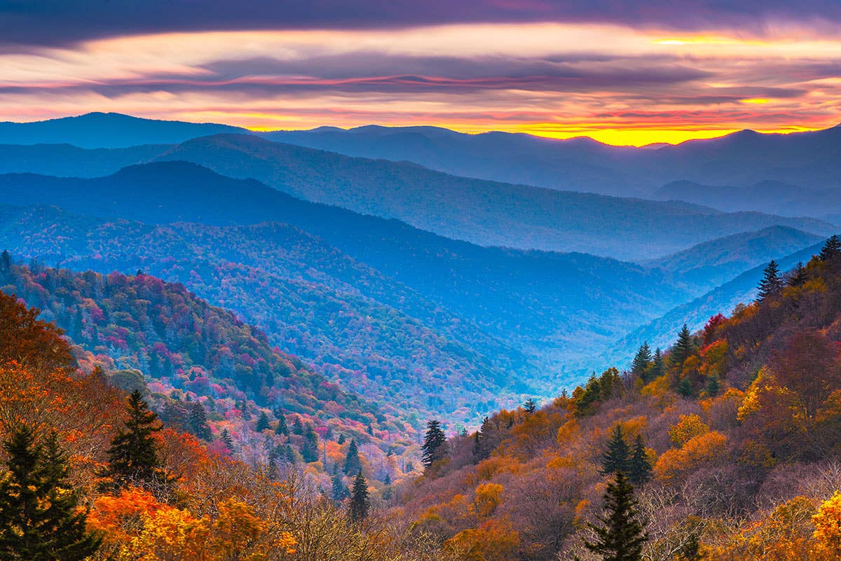 A view of the Great Smoky Mountains showing the trees dressed up for fall, with gold and red leaves glistening as the sun rises over the mountains.