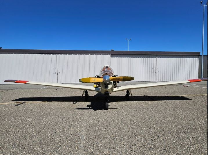 This 1993 SOCATA TB-20 Trinidad Is a Fetching 'AircraftForSale 