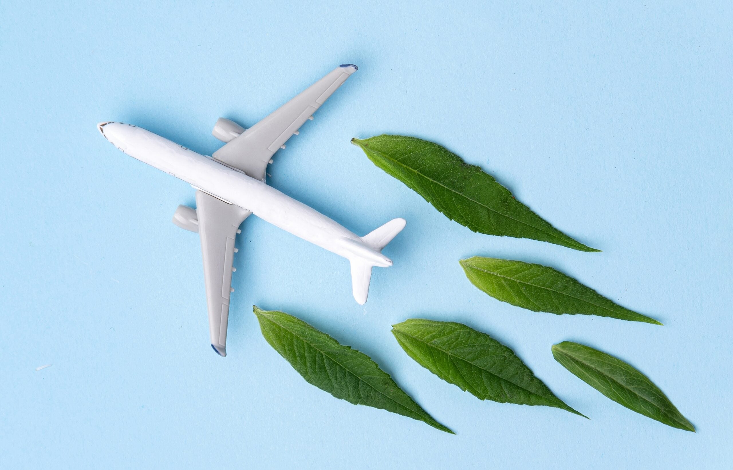 Navigating the Skies: The Impact of Carbon Offsetting on Aircraft Financing