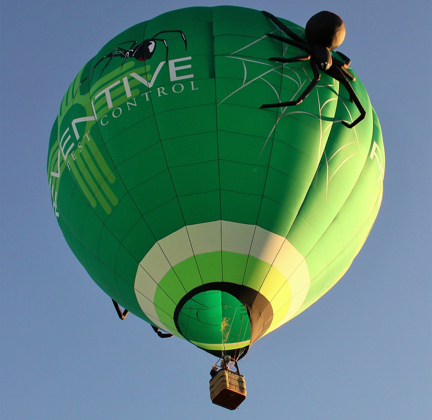 Albuquerque International Balloon Fiesta