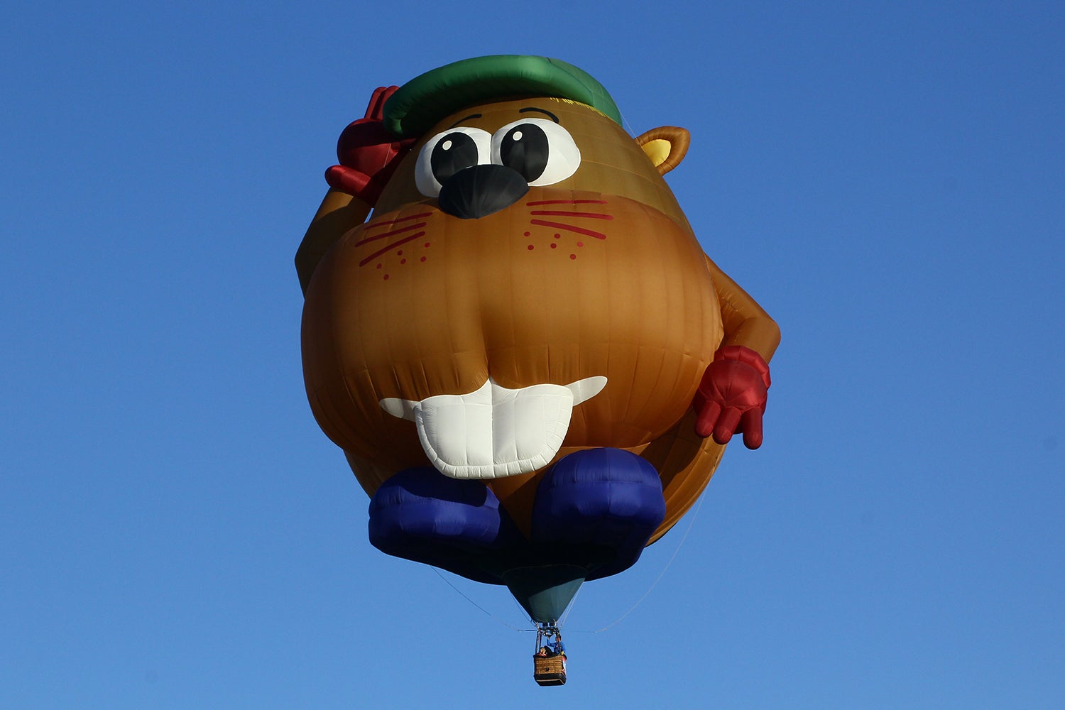 Albuquerque International Balloon Fiesta