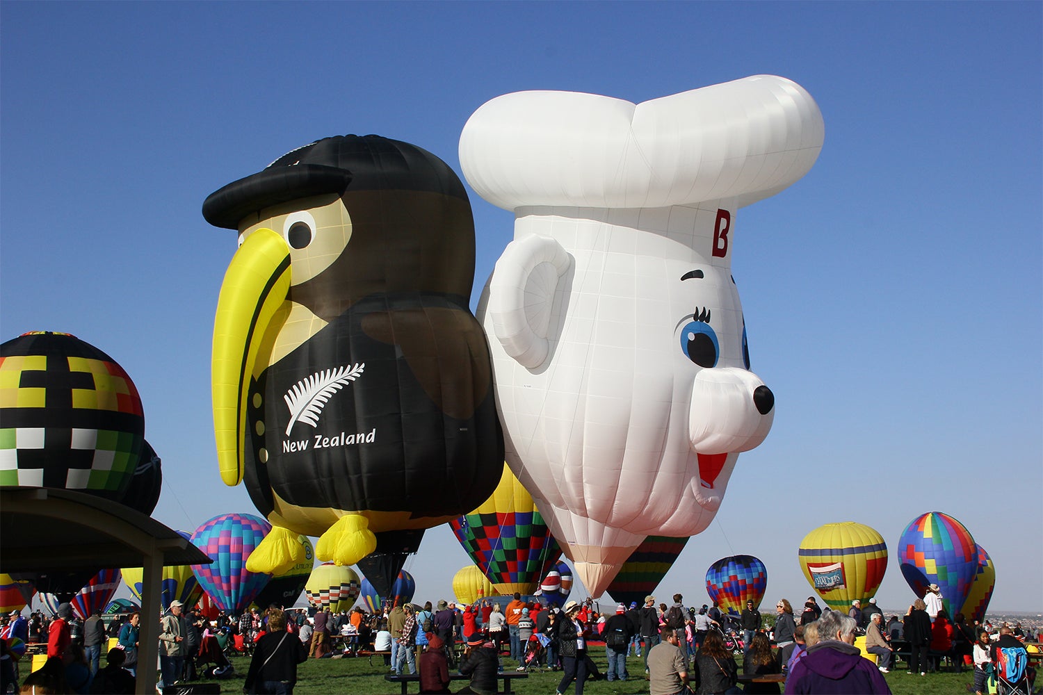 Albuquerque International Balloon Fiesta