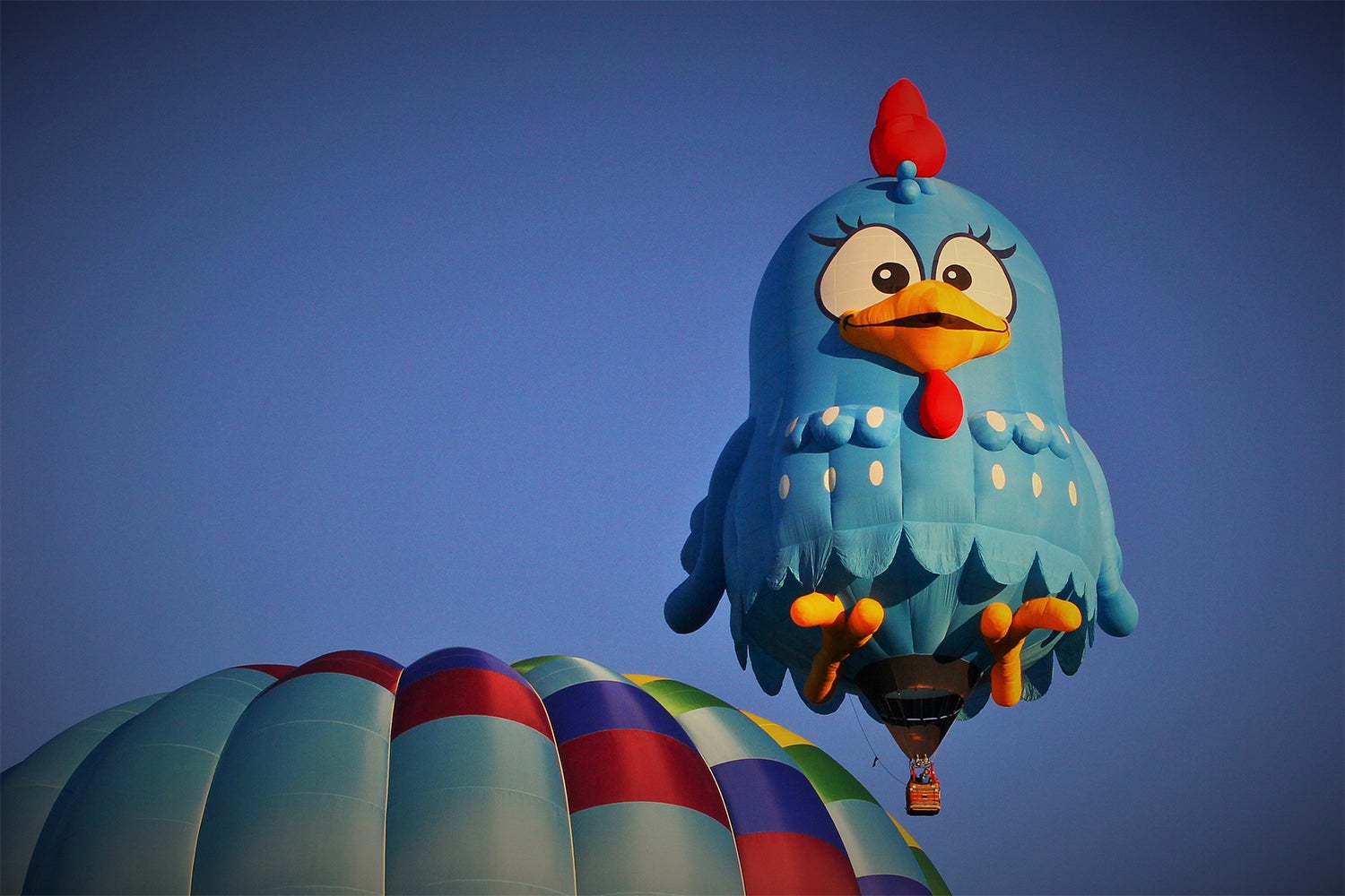 Albuquerque International Balloon Fiesta